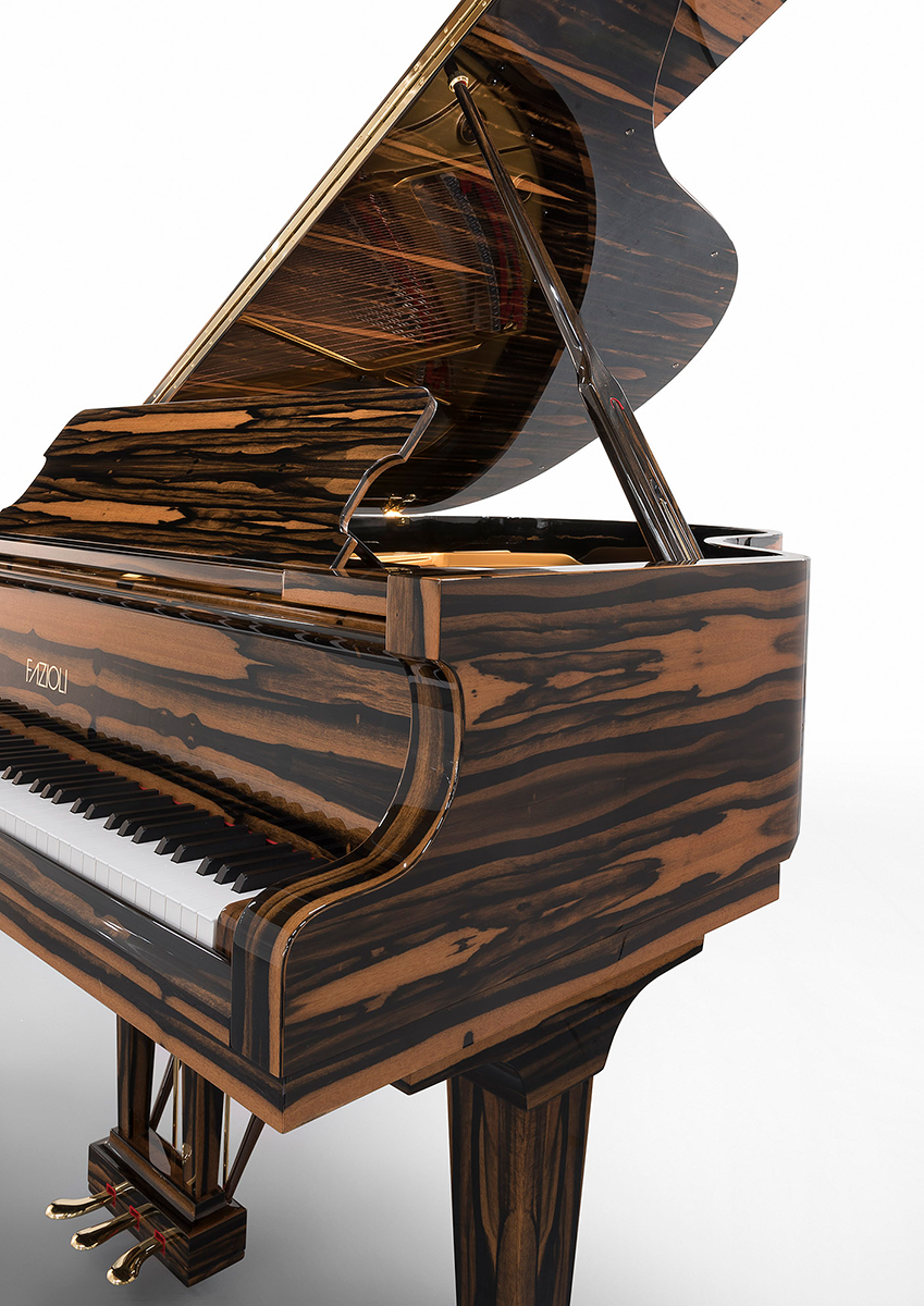 Fazioli EBONY BLACK & WHITE View 1