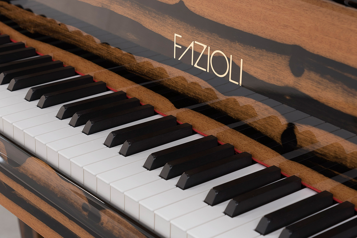 Fazioli EBONY BLACK & WHITE View 2