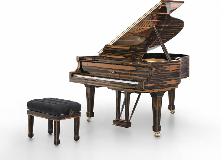 Fazioli Ebony Black & White