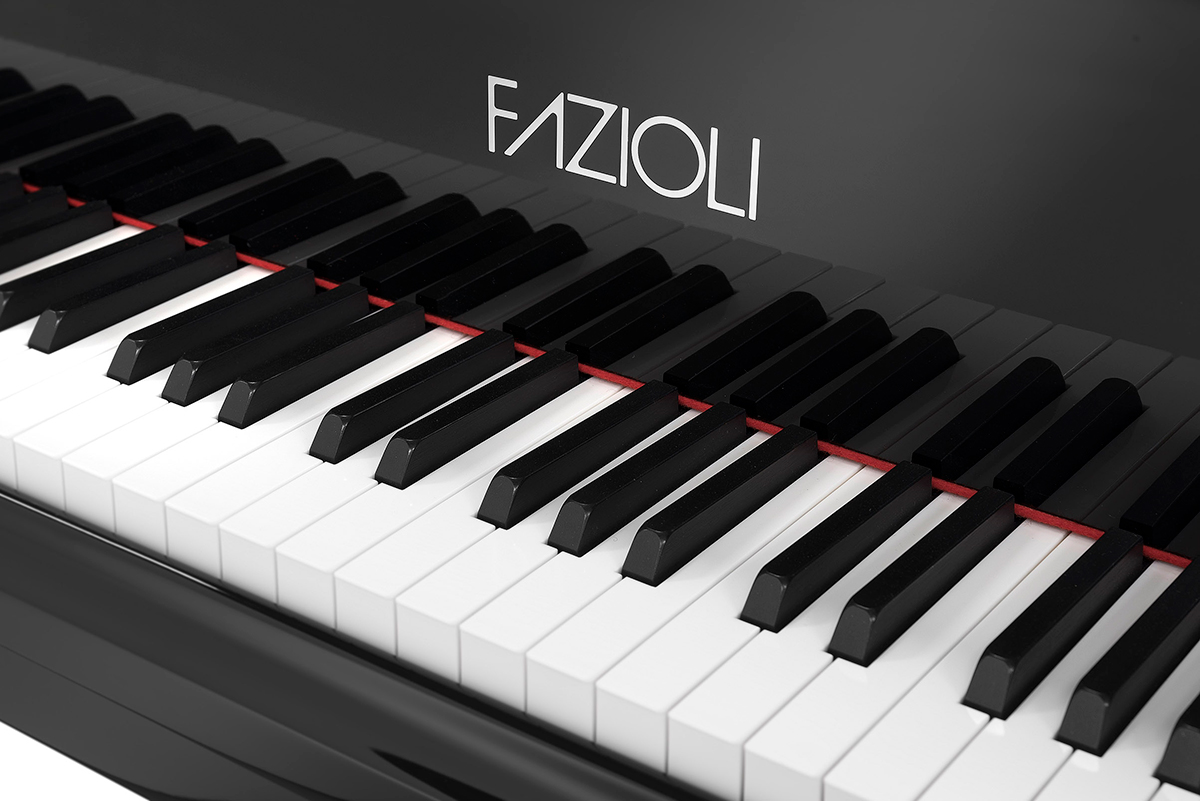 Fazioli SILVER View 1