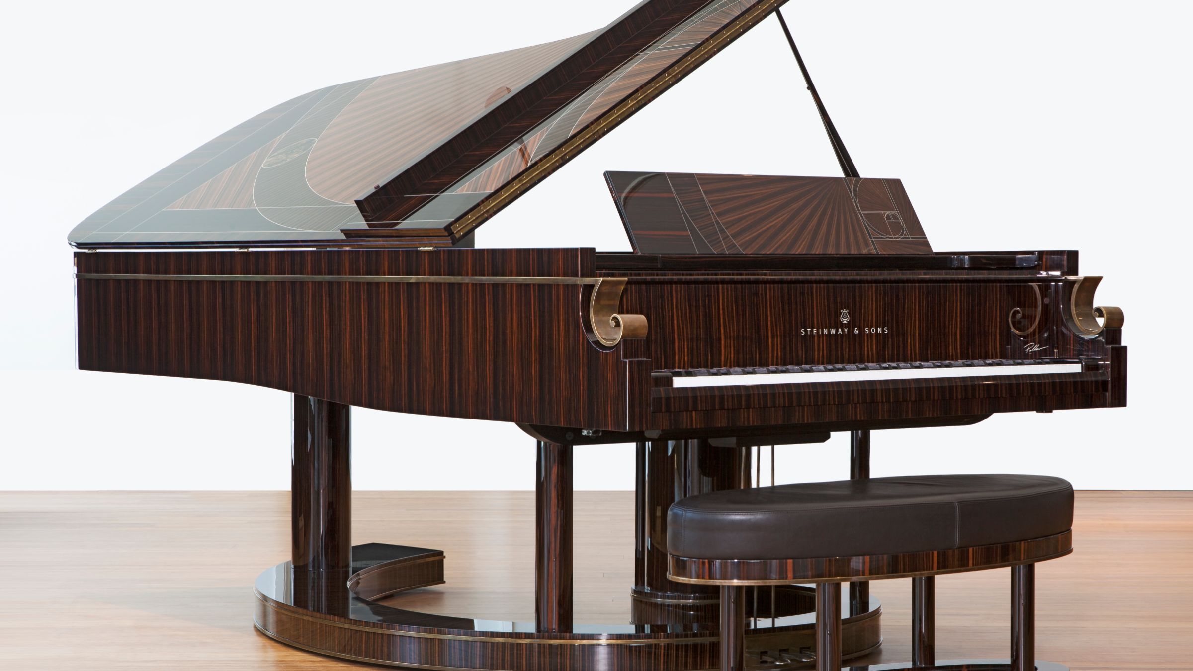 Fibonacci Steinway Model D Limited Edition - Ảnh 2