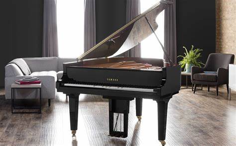 Disklavier Grand