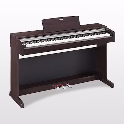YDP-142