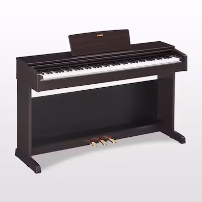 YDP-143R