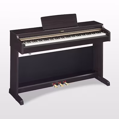 YDP-162