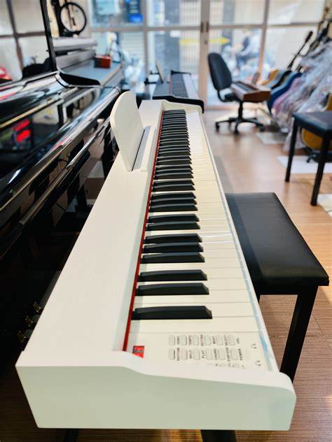 Victor-Y20