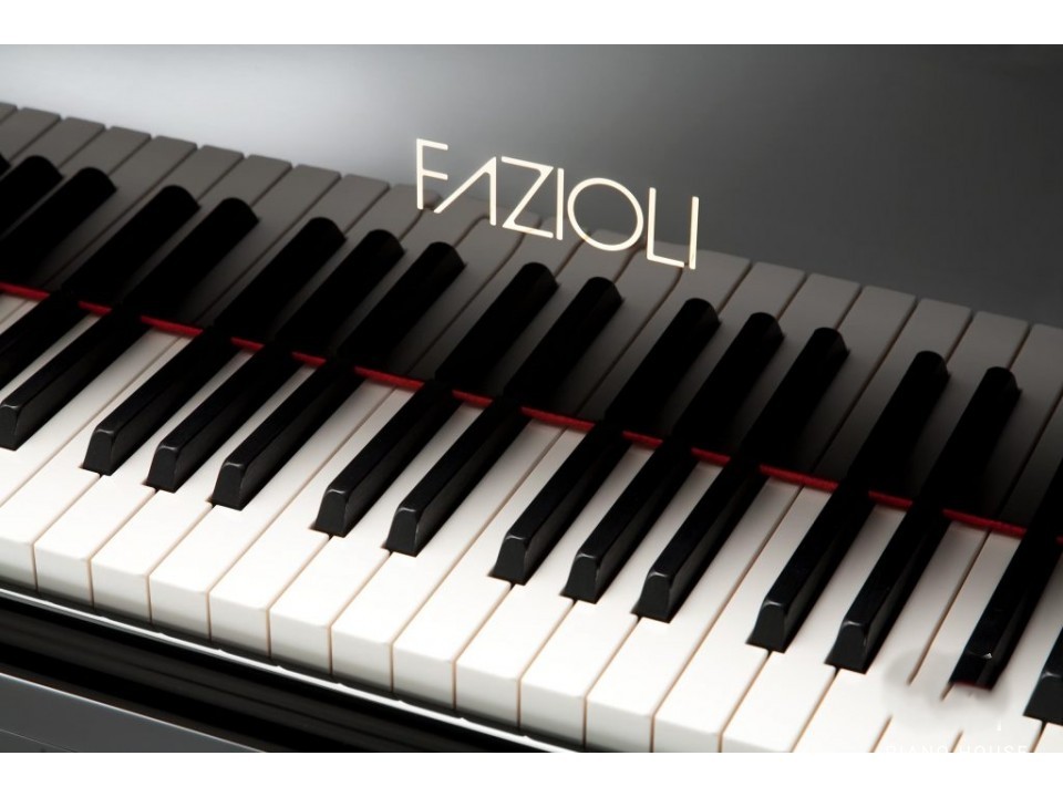Fazioli F308 Concert Grand Piano - Ảnh 2