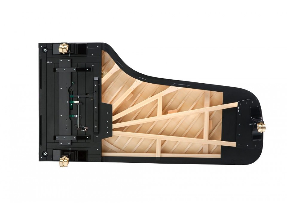 Fazioli F308 Concert Grand Piano - Ảnh 3