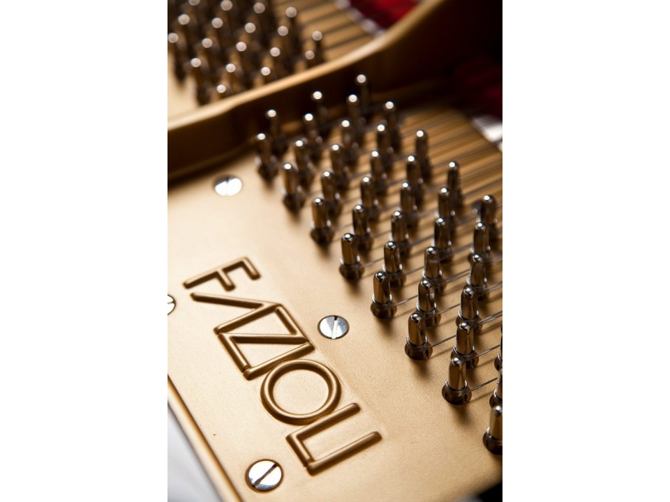 Fazioli F278 Concert Grand Piano - Ảnh 2