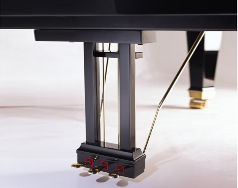 Hailun HG218 Grand Piano - Ảnh 2