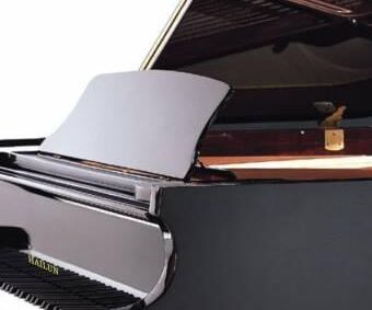 Hailun HG178 Grand Piano - Ảnh 2