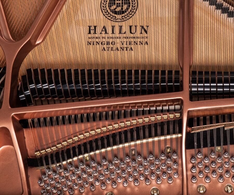 Hailun HG178 Grand Piano - Ảnh 3