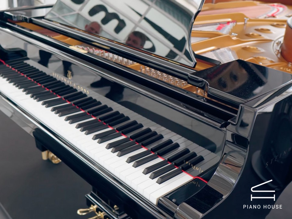 Steinway & Sons Model D Spirio | r Concert Grand Piano - Ảnh 2