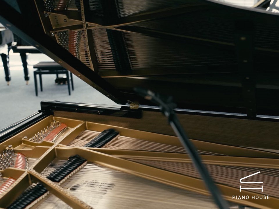 Steinway & Sons Limited Edition Beethoven Model D (LVB 275) - Ảnh 2