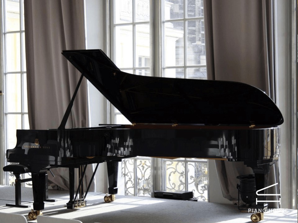 Steinway & Sons Limited Edition Beethoven Model D (LVB 275)